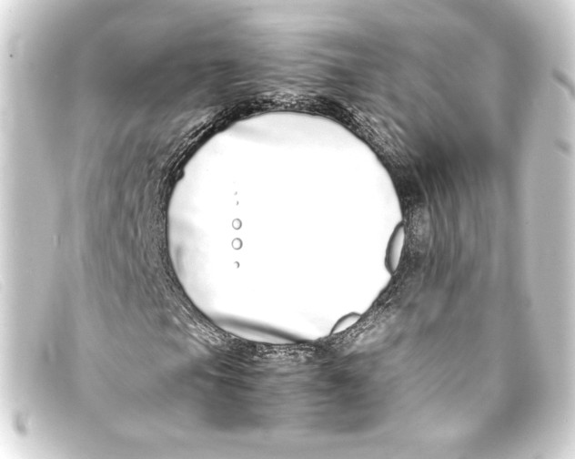 X0000093161105200710241014
