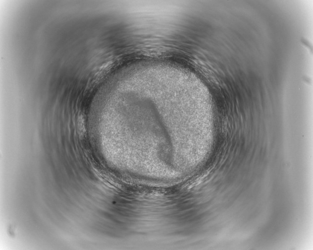 X0000093161106200710241014