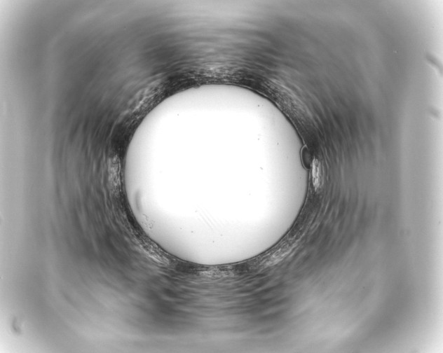 X0000093161107200710241014