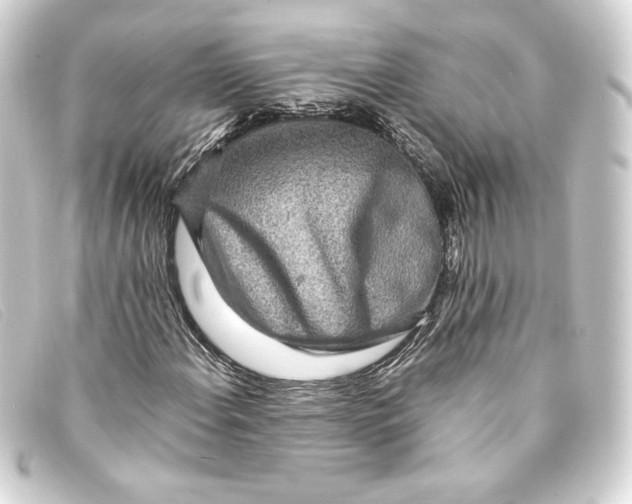 X0000093161108200710241014