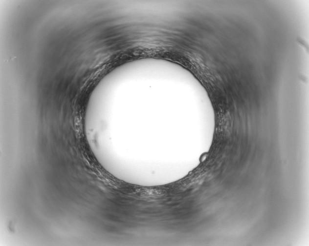 X0000093161109200710241014