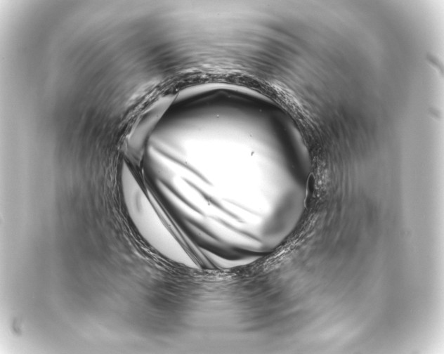 X0000093161110200710241014