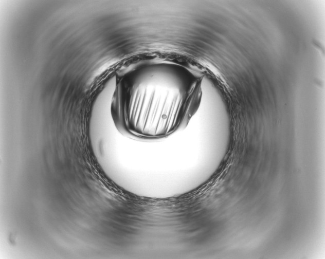 X0000093161112200710241014