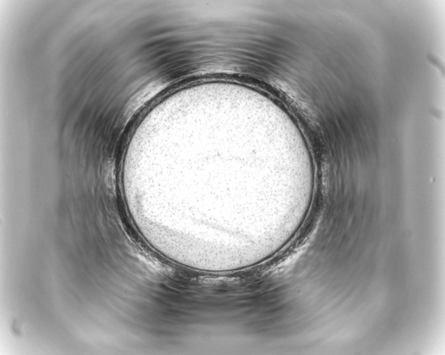 X0000093161113200710241014