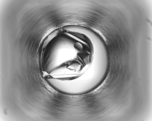 X0000093161114200710241014