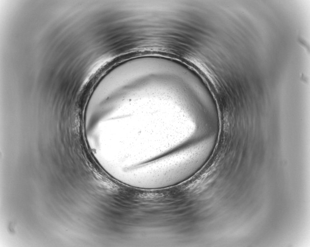 X0000093161115200710241014