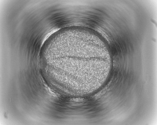X0000093161117200710241014
