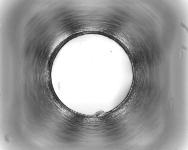 X0000093161119200710241014