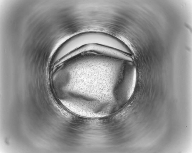 X0000093161120200710241014