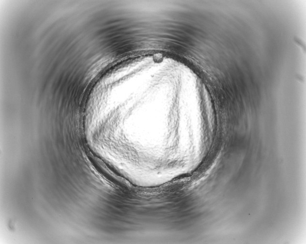 X0000093161121200710241014