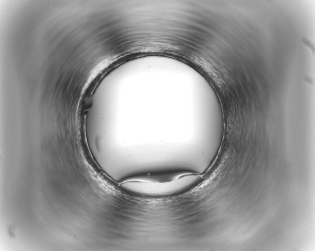 X0000093161122200710241014