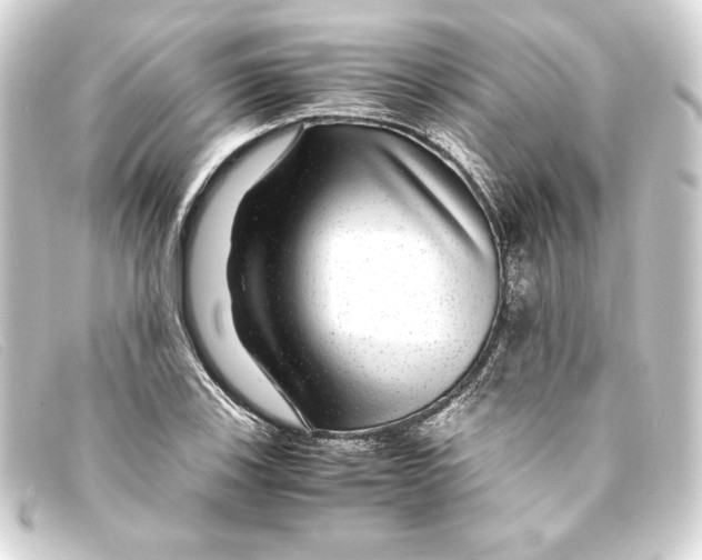 X0000093161123200710241014
