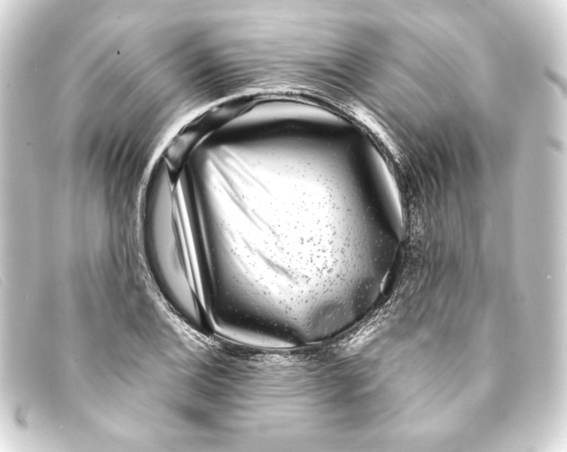 X0000093161124200710241014