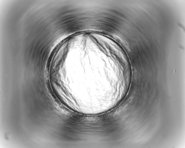 X0000093161125200710241014