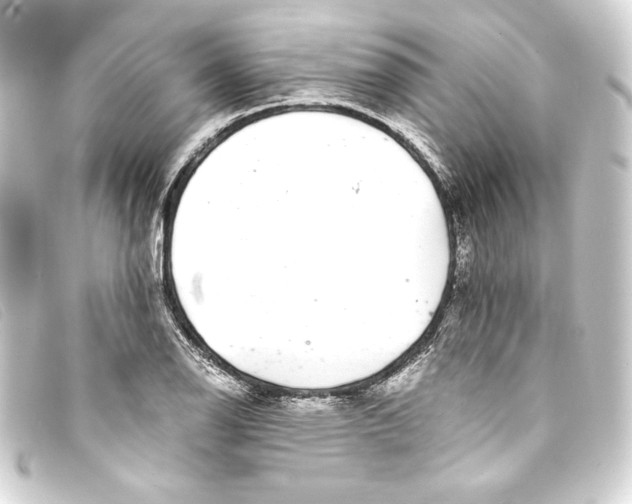 X0000093161126200710241015