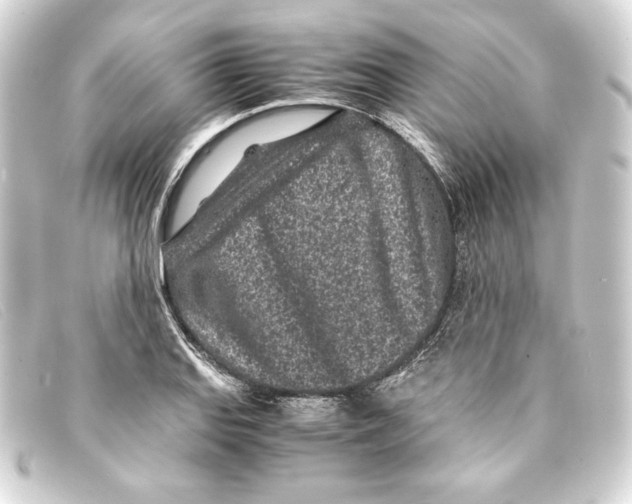 X0000093161127200710241015