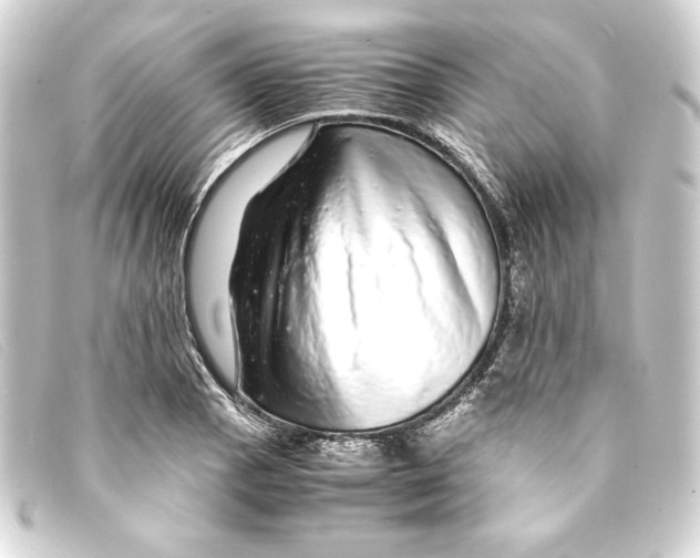 X0000093161129200710241015