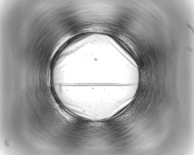 X0000093161131200710241015