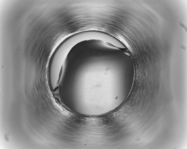 X0000093161132200710241015