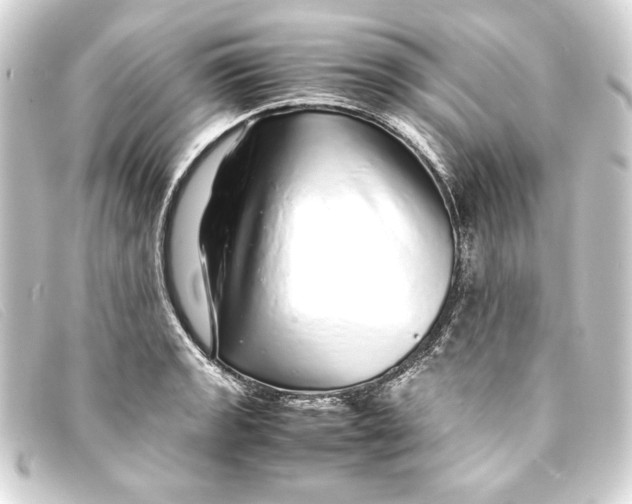 X0000093161133200710241015