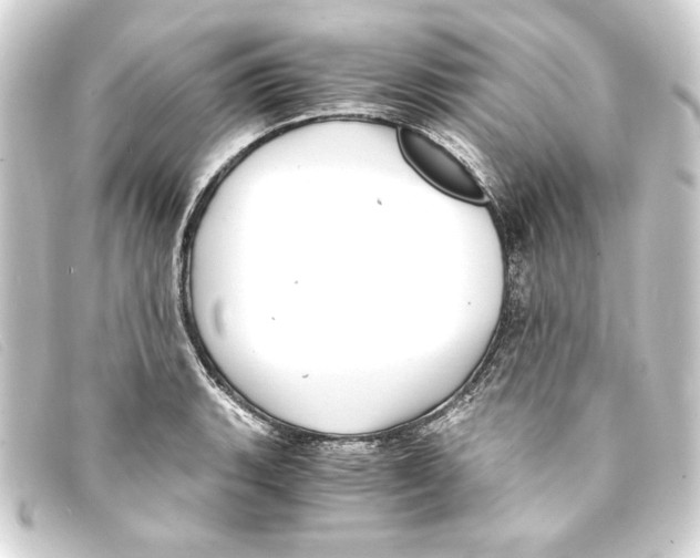 X0000093161135200710241015