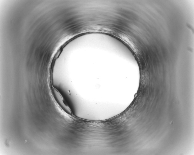 X0000093161136200710241015