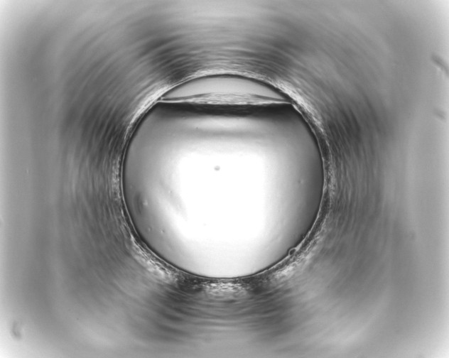 X0000093161137200710241015