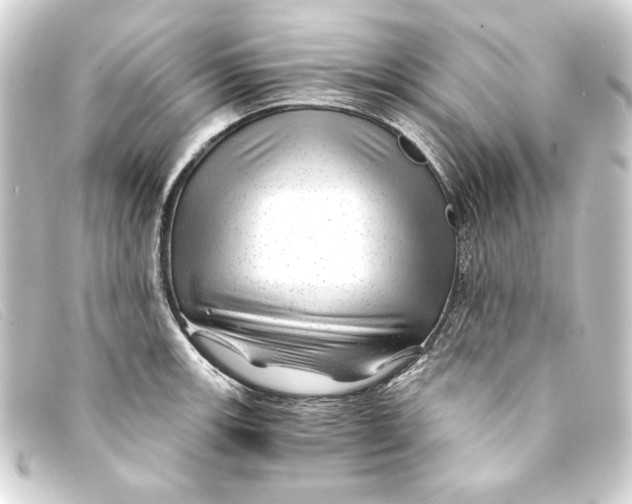 X0000093161139200710241015