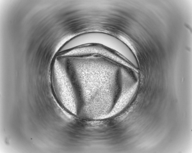 X0000093161141200710241015