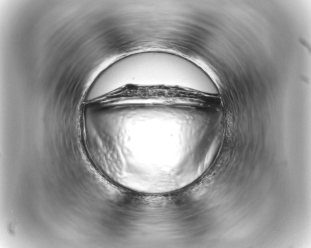 X0000093161142200710241015