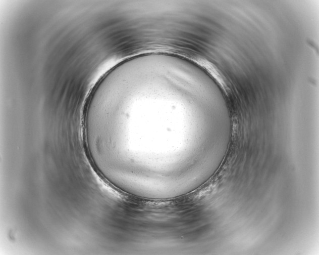 X0000093161143200710241015