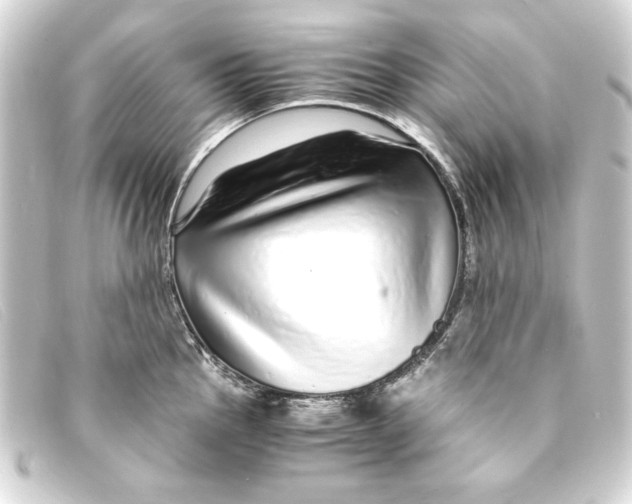 X0000093161145200710241015