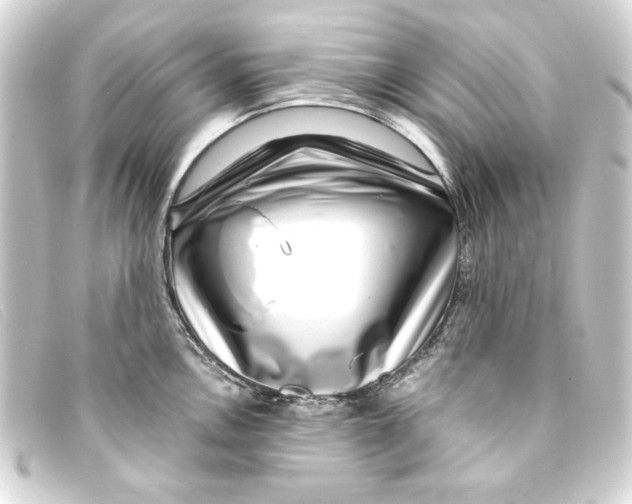 X0000093161146200710241015