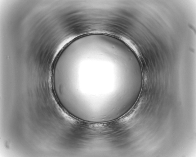 X0000093161149200710241015