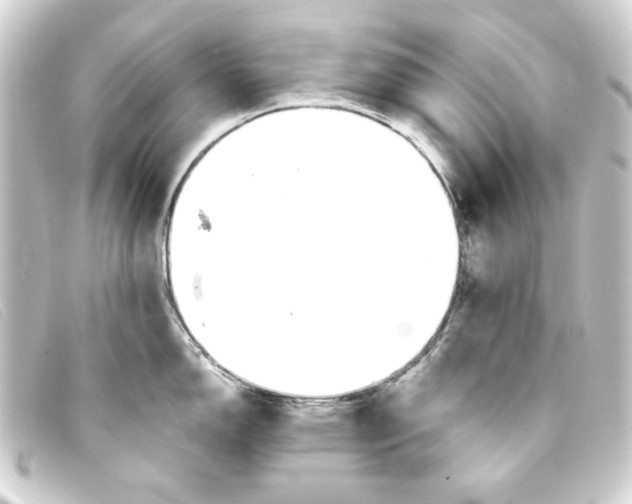 X0000093161150200710241015
