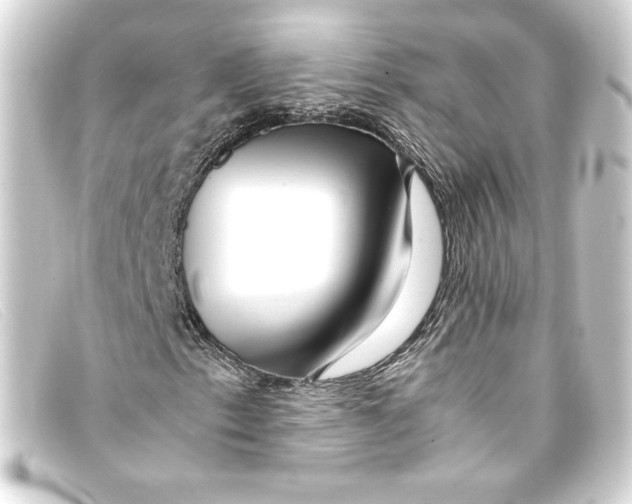 X0000093161153200710241014