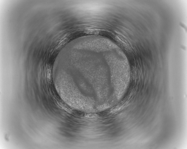 X0000093161154200710241014