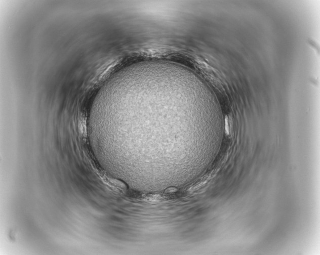 X0000093161155200710241014