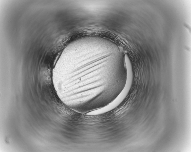 X0000093161156200710241014