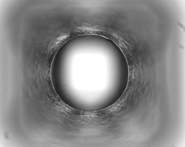 X0000093161157200710241014