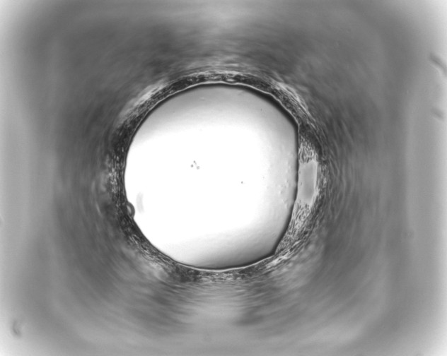 X0000093161159200710241014