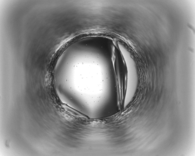 X0000093161160200710241014