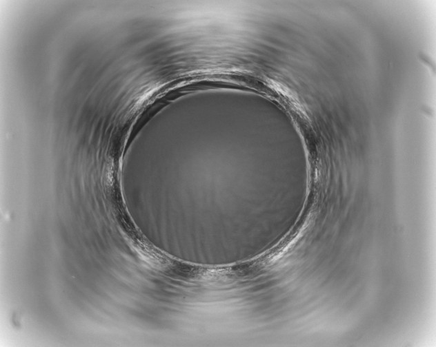 X0000093161161200710241014