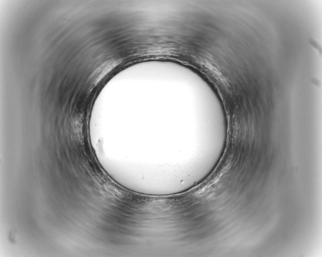X0000093161162200710241014