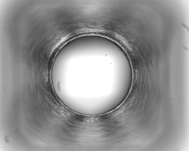 X0000093161165200710241014