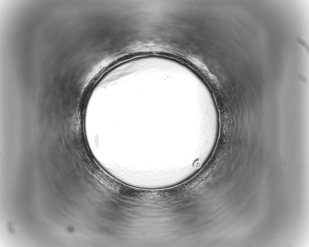 X0000093161167200710241014
