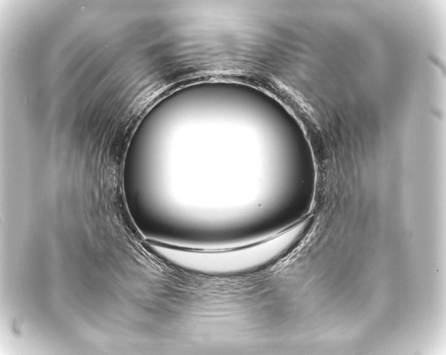 X0000093161169200710241014