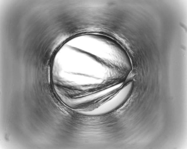 X0000093161171200710241014