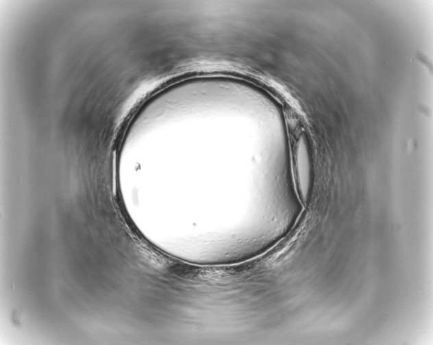 X0000093161175200710241014