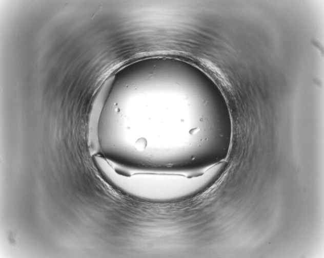 X0000093161177200710241014
